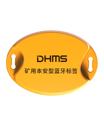 矿用本安型蓝牙标签 DMB1