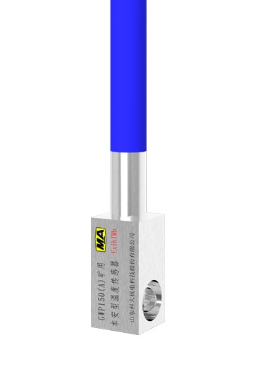 有线温度传感器 GWP150(A)